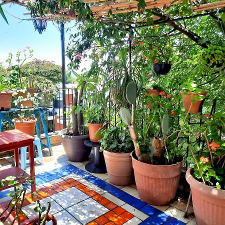 La Terraza del Pochote Oaxaca Esterno foto