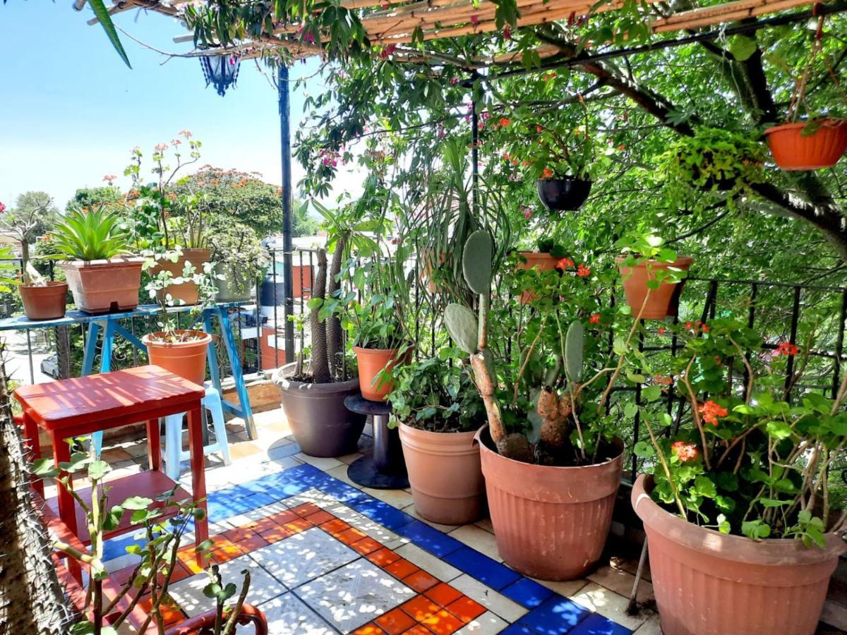 La Terraza del Pochote Oaxaca Esterno foto